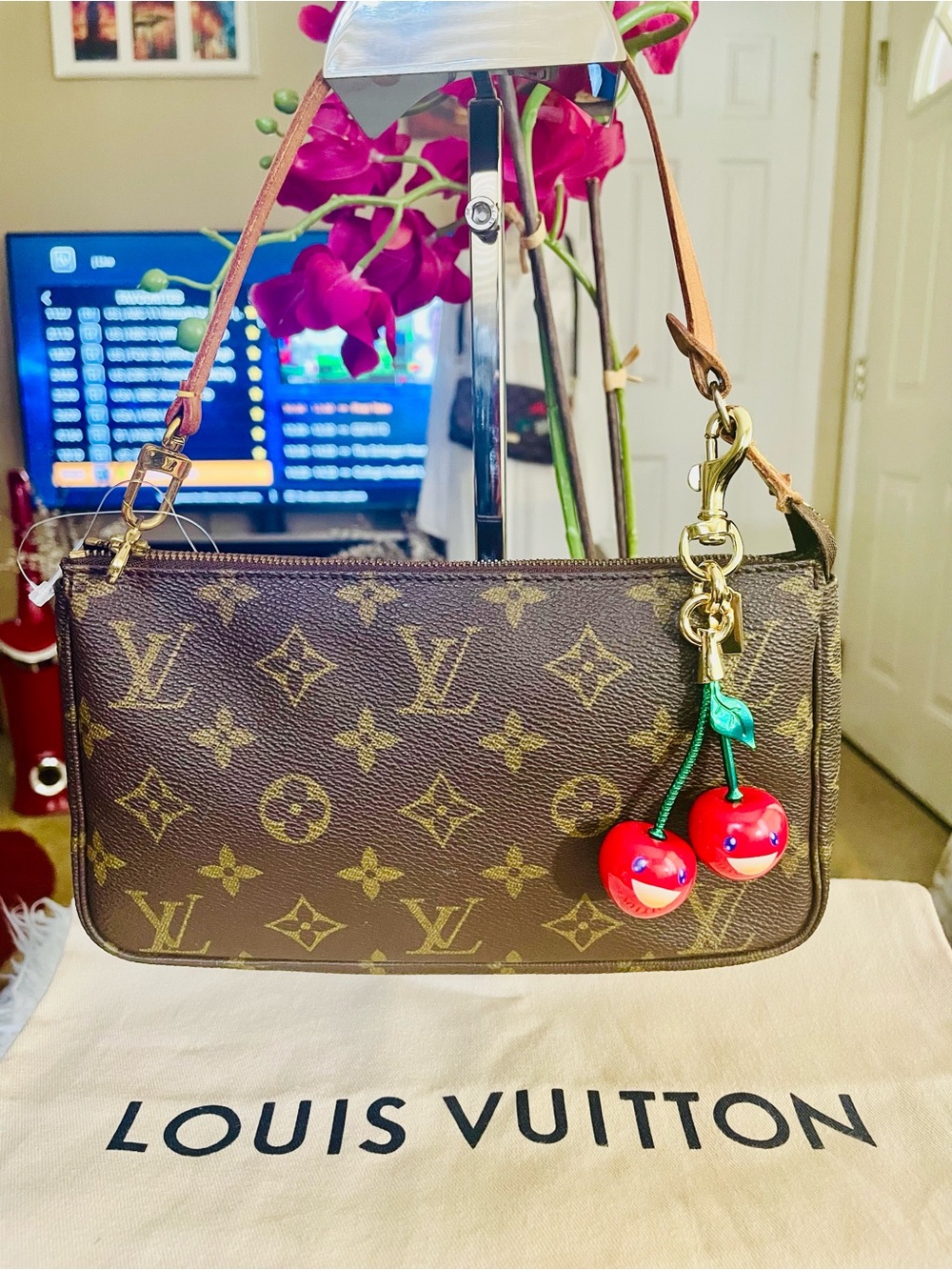 Louis Vuitton Pochette Accessories Shoulder Bag